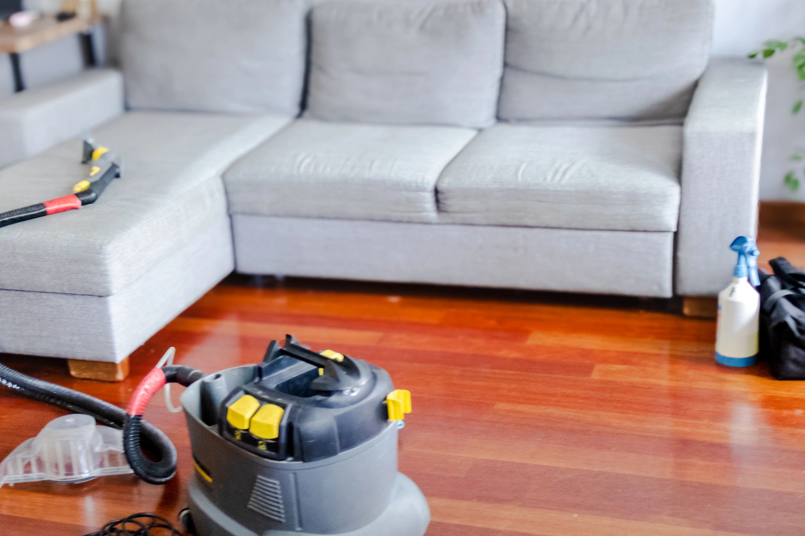 Spotless living room after professional residential cleaning